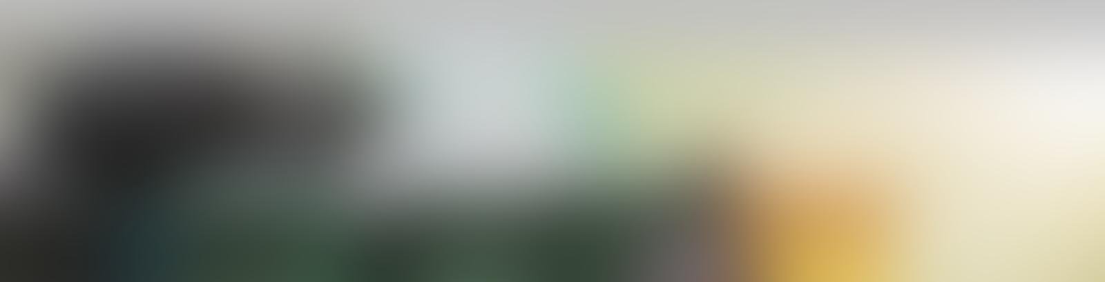 Servizi ambientali professionali per privati e aziende nel Lazio